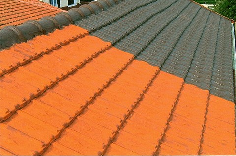 Traitement tuiles toiture